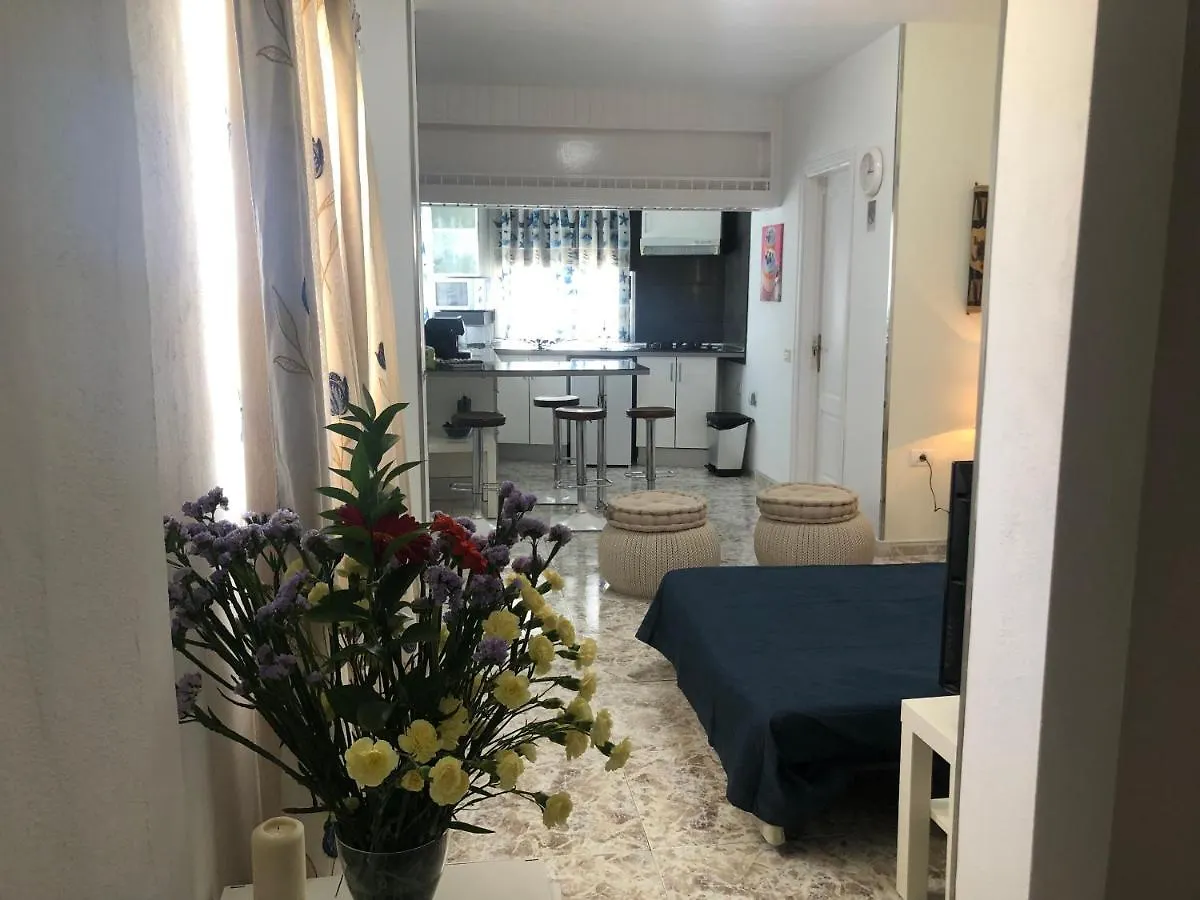 Costa Las Maretas Arico Apartament